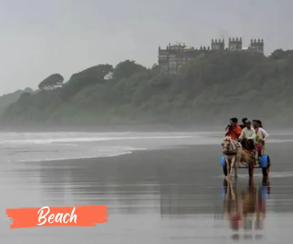 Kaas Pathar Tour Packages